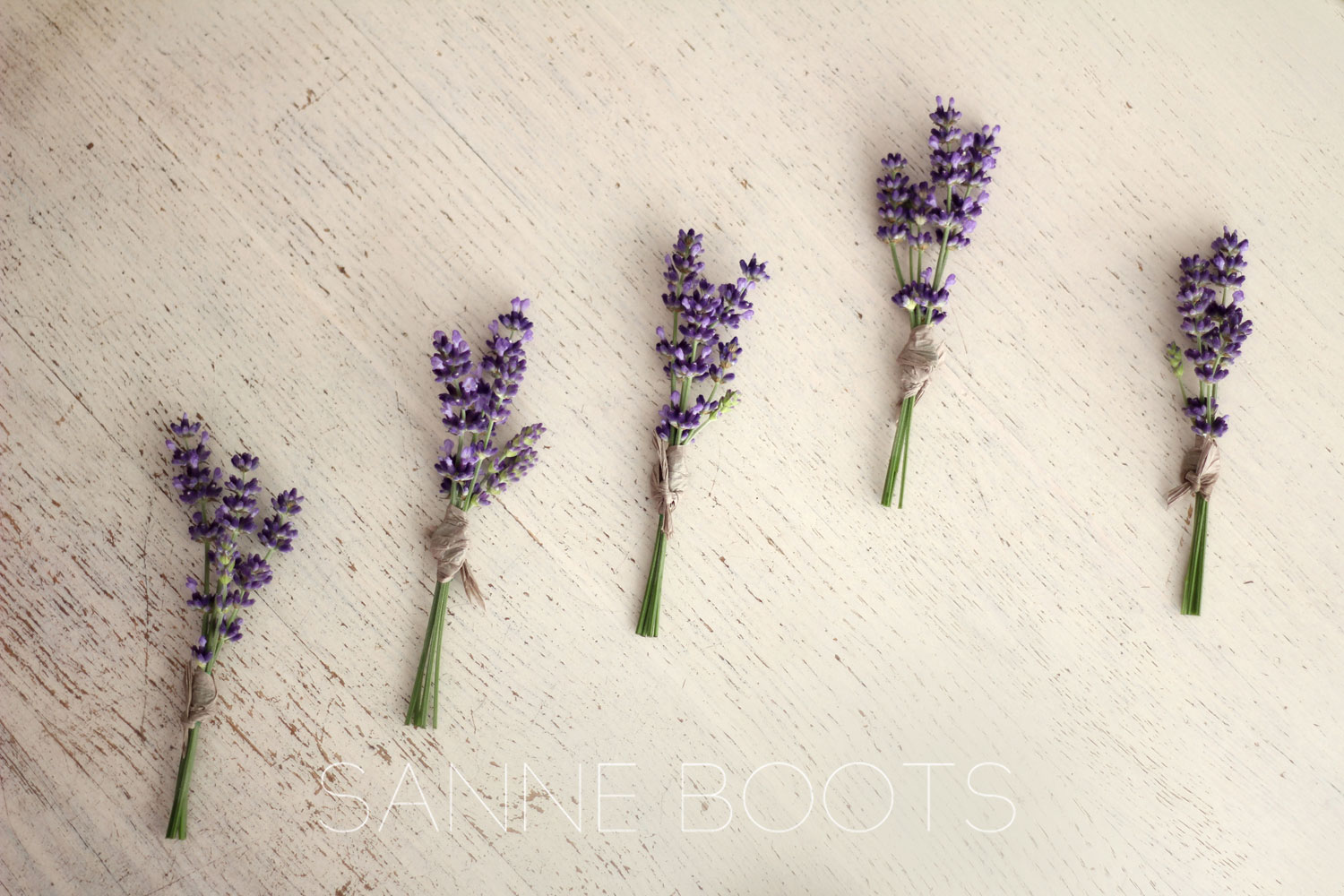 Corsage | Lavendel
