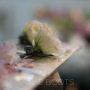 Haarcorsage | Lisianthus; mooie, lichte bloem